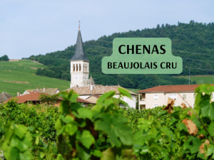 CHENAS BEAUJOLAIS CRU (800 x 600 px)